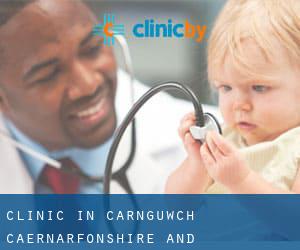 clinic in Carnguwch (Caernarfonshire and Merionethshire, Wales)