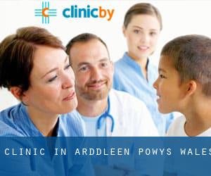 clinic in Arddleen (Powys, Wales)