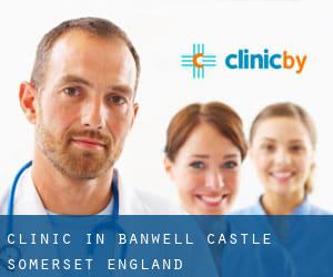 clinic in Banwell Castle (Somerset, England)
