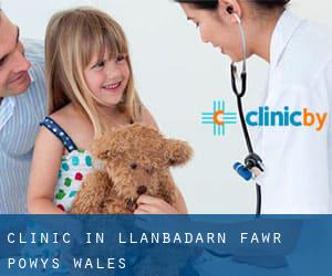 clinic in Llanbadarn-fawr (Powys, Wales)